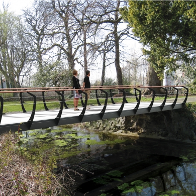 Swan Bridges